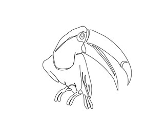 Bird Line Art Drawing