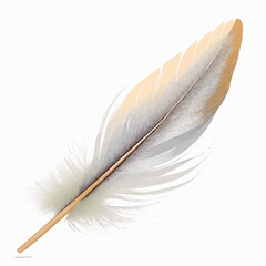 goose feather on a white background.