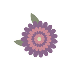 Drawn flower on white background