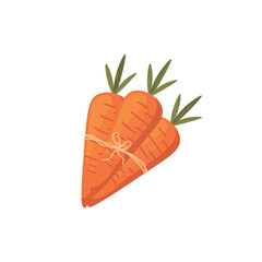 Tied orange carrots on white background