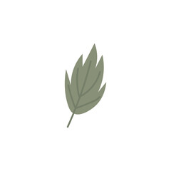 Drawn green leaf on white background