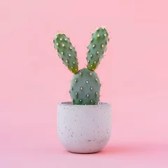 Bunny ears shaped cactus in concrete pot on pastel pink background. Abstract, minimal Easter concept. © LyubaAlex