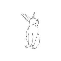 Cute drawn bunny on white background