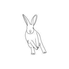 Cute drawn bunny on white background