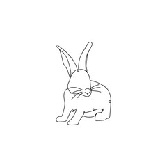 Cute drawn bunny on white background