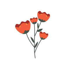 Obraz premium Drawn flowers on white background