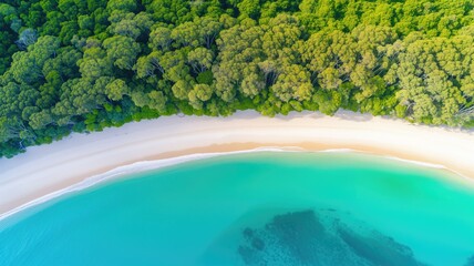 Fototapeta na wymiar Top view of a stunning beach with clear waters bordered by a dense forest
