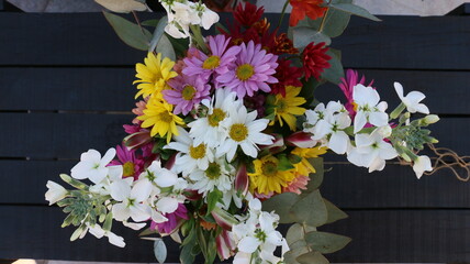 Cineraria, ramo de flores