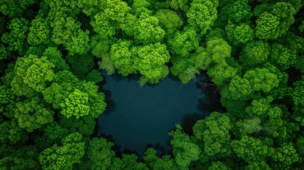 Papier Peint photo Vert Overhead view of a secluded pond within a lush, vibrant green forest
