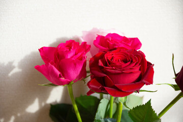 薔薇の花束