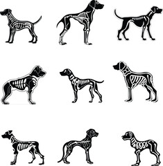 dog skeleton silhouette set vector illustration
