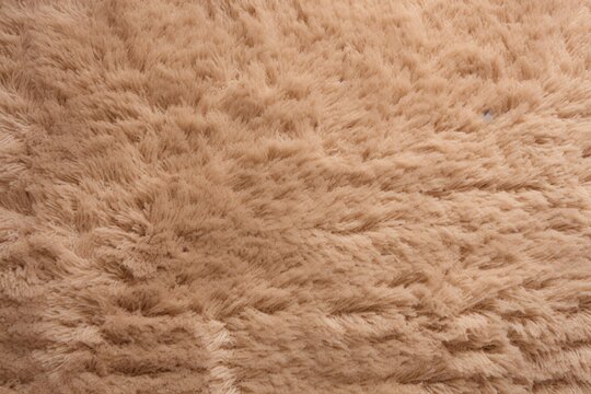 Tan plush carpet close-up photo, flat lay