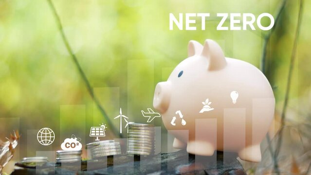 Net zero concept. Finance and business concept.  Piggy bank closeup with infographic  net zero icons.Investment graph and rows growth of coins. Concept of investing and financial management