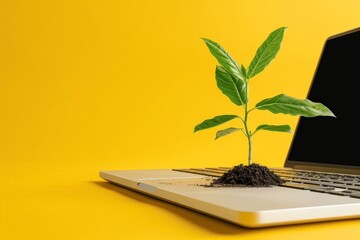 Laptop with plant seedling on keyboard on yellow background with copy space