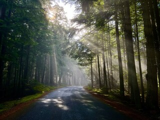 Fototapeta premium Mountain Rd., #2