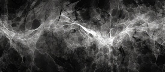 Black and white textured image with abstract background.