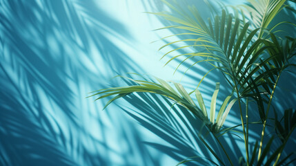 green palm leaves shadow with blue color texture pattern cement wall background, palm leaves background	