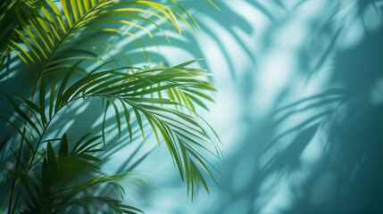 green palm shadow blue color texture pattern cement wall background,, nature organic cosmetic products for sale shop online. Summer tropical beach with minimal concept