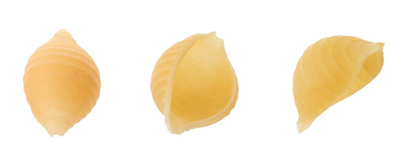 Raw conchiglie pasta isolated on white, set