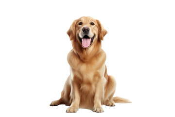 Golden retriever dog and sitting in front..Generative AI Illustration
