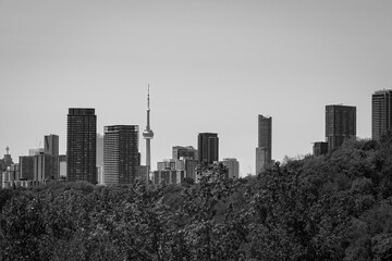 Toronto city skyline with trees, Black and White