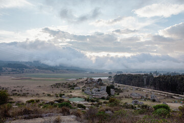 beautiful sunset in a field full of vegetation