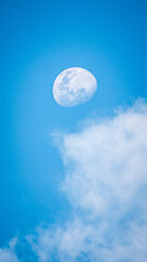 Naklejka na ściany i meble moon in the middle of the day with white clouds around it and a blue sky