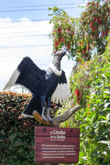 informative lettering of the condor of the Andes, with a statue