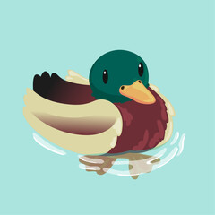 Adorable duck swimming in the water