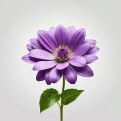 A vibrant purple flower with green leaves sits against a white background. ai generative