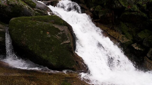 Moss-Covered Rocks in Rushing Bugio River, Portugal