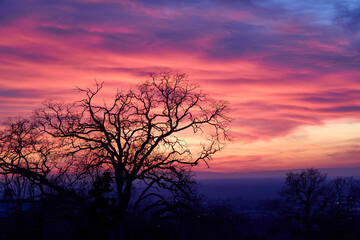 Naklejka premium Glowing sunset