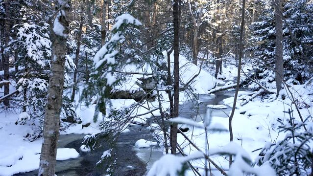 Wide angle view of icy stream with flowing water and snow covered white trees in foreground, slow motion
