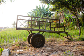 Old cart on the edge of the rice fields.