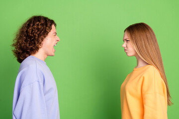 Fototapeta premium Profile photo of two mad crazy outraged people shout look each other isolated on green color background