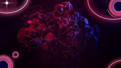 a 3d and asthetic abstract background