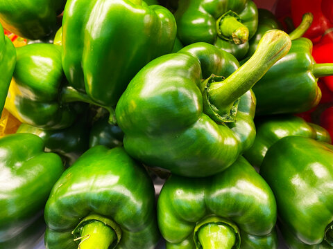Freshly picked green bell peppers on display at the market