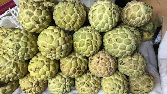 Close up group of fresh organic green Custard apple tropical fruit Sugar Apple, Annona, sweetsop, Fresh sweet nutrition fruits. at Night fruit market Lamphun Thailand.