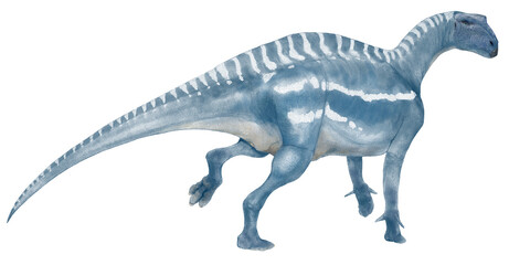 日本で初めて学名が認められた草食性の恐竜。かつてはフクイリュウと呼ばれていた。属名の『フクイ』は産出地の福井県に因む。イグアノドン類としては中型の恐竜。日本の恐竜シリーズの3体目として描いた。