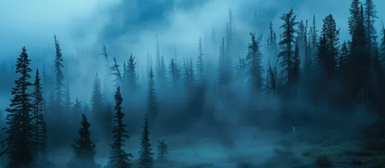 Lichtdoorlatende rolgordijnen zonder boren Mistig bos A misty woods with trees and smoky backdrop