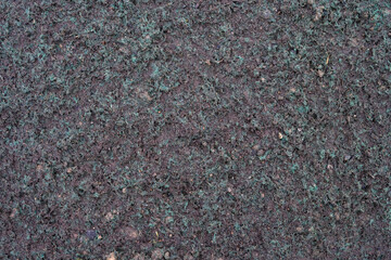 Closeup of professionally applied hydroseeding, mix of grass seed and wood pulp freshly applied to...