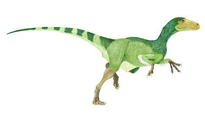 小型恐竜フクイヴェナートル。日本で発見された現在では純粋な肉食ではなく雑食性と考えられ、いくつかの種につながる可能性のあるマニラプトル形類とされる。日本の恐竜シリーズの4番目として描いた。福井県北谷（キタダニ）での産出 - obrazy, fototapety, plakaty