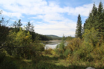 Fototapeta na wymiar lake in the woods, Nordegg, Alberta