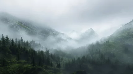 Crédence de cuisine en verre imprimé Gris 2 Foggy mountain landscape