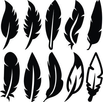 Set of Black Fill Feather icons. Vector illustration for graphic and web designs. Simple silhouette signs isolated on transparent background. Internet concept symbols for website button or mobile app.