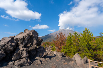 鹿児島　桜島の風景 有村溶岩展望所