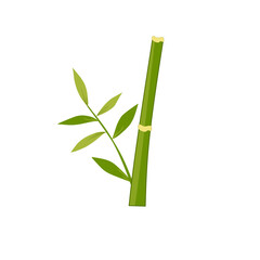 Fototapeta na wymiar Bamboo leaves 