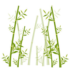 Bamboo trees background 
