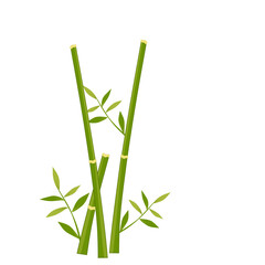 Fototapeta na wymiar Bamboo trees illustration 