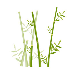 Bamboo trees illustration 